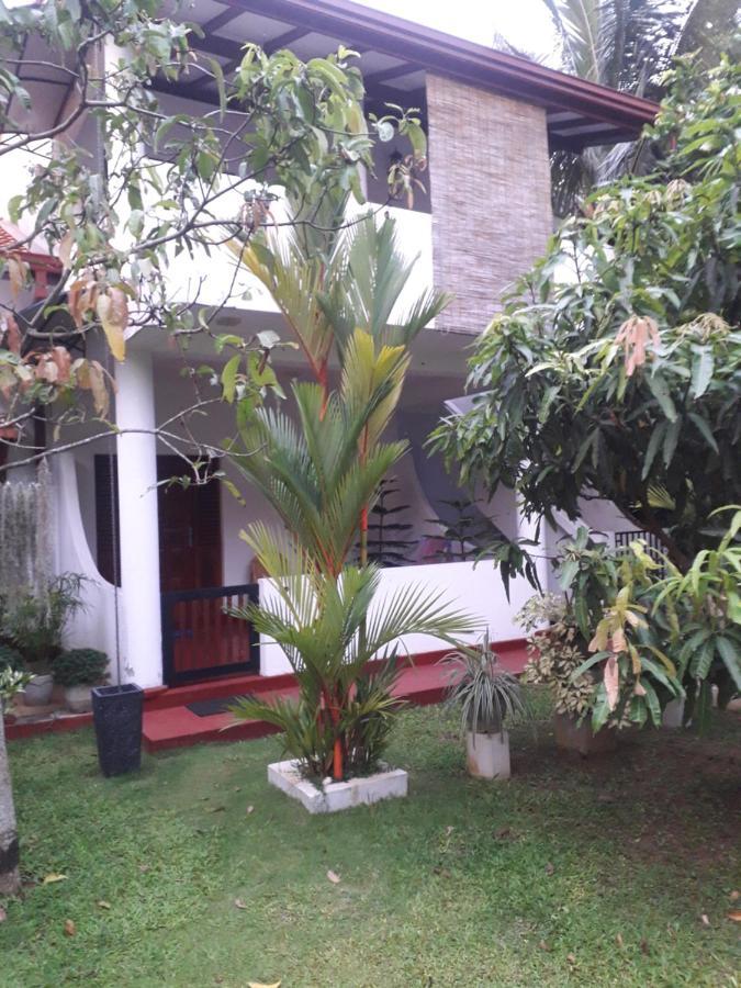 Villa 159 Хикадува Екстериор снимка