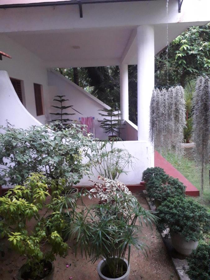 Villa 159 Хикадува Екстериор снимка